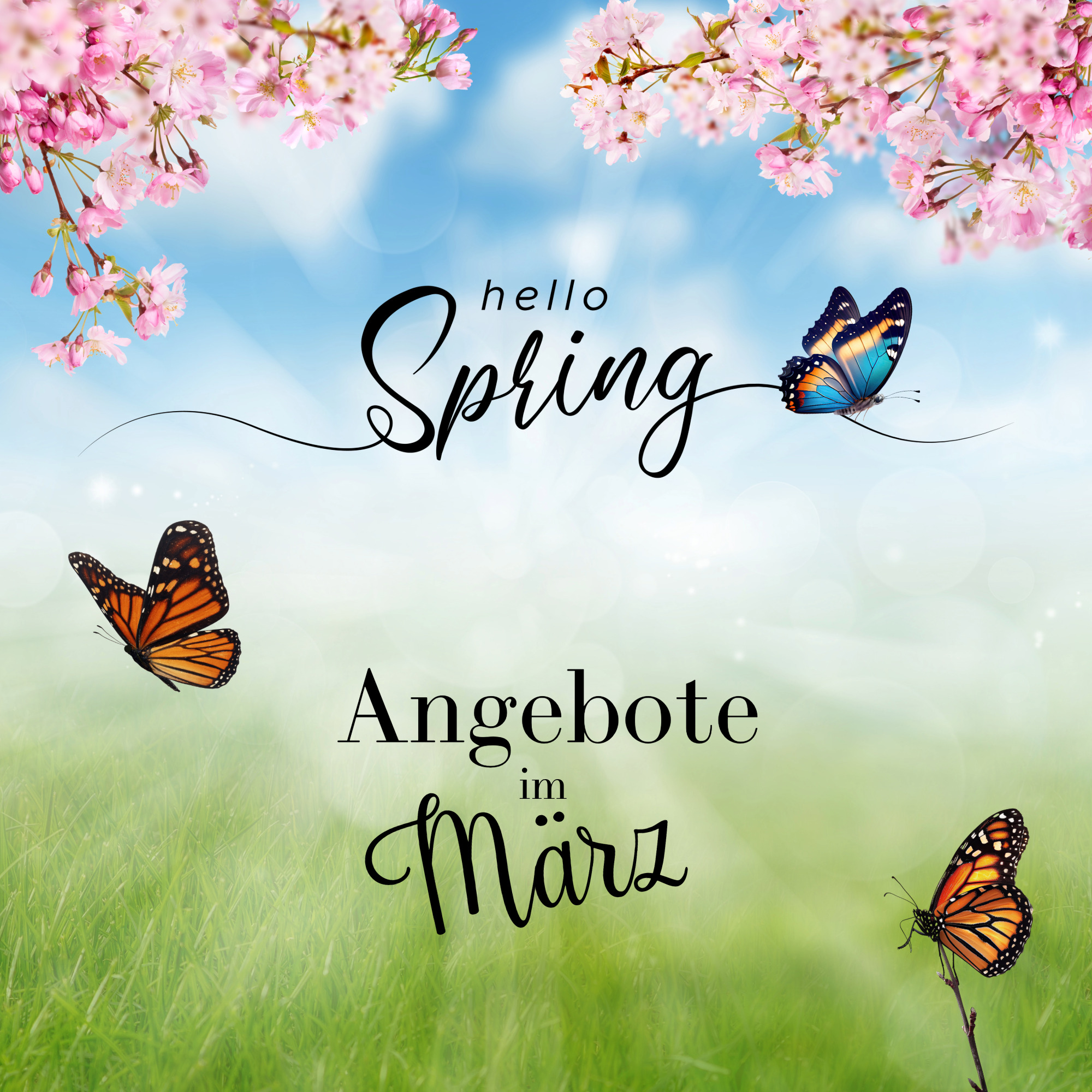 Banner Februar 2026 quadratisch