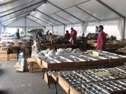 Denver Gem &amp; Mineral Show 2017