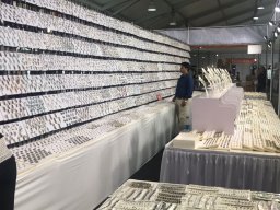 Denver Gem &amp; Mineral Show 2017